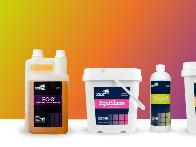 All Products