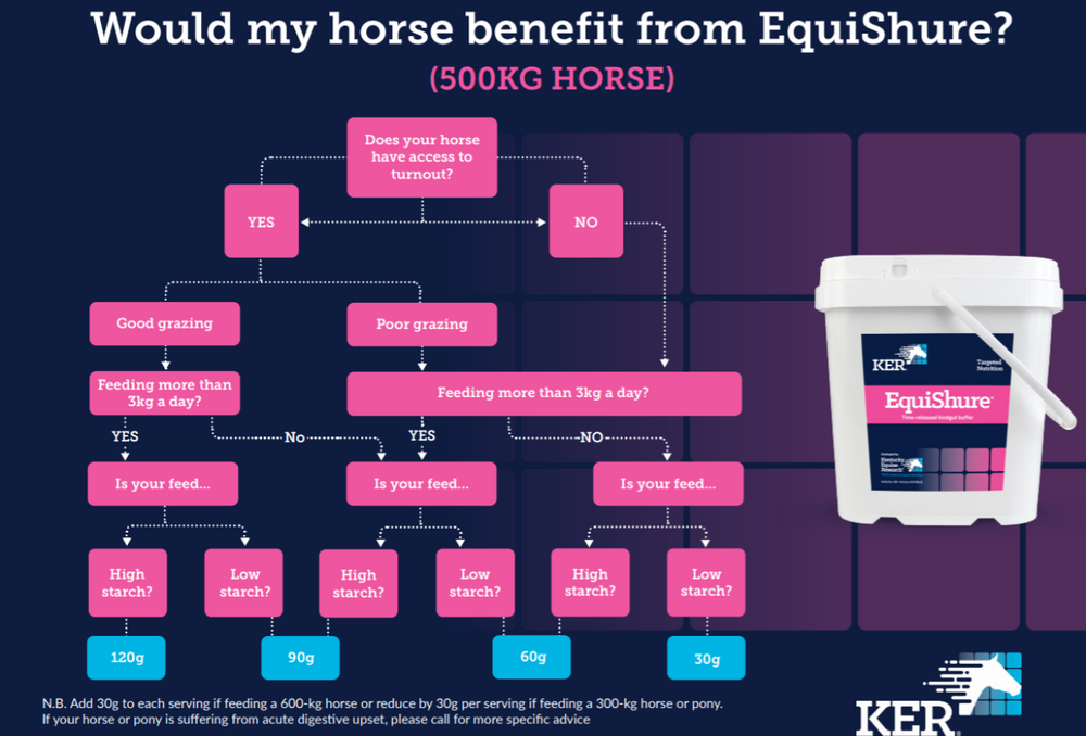 EquiShure®